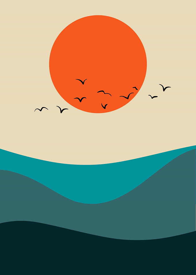 Sunset Over The Ocean bird