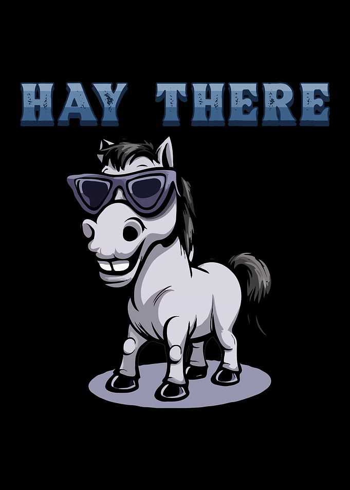 Hay There I Equestrian
