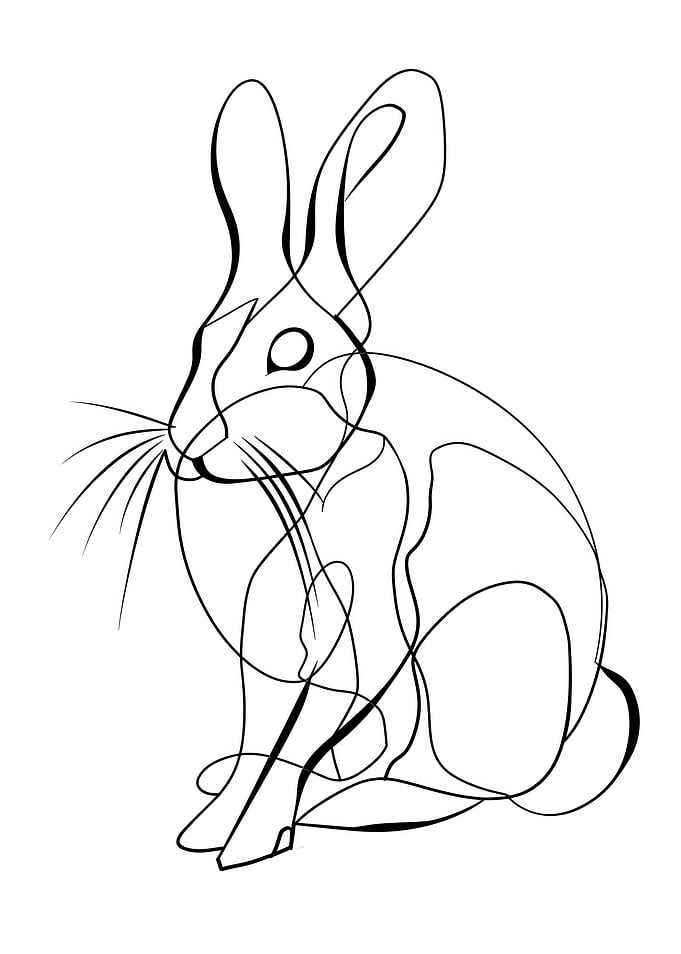 Lines art animal rabbit