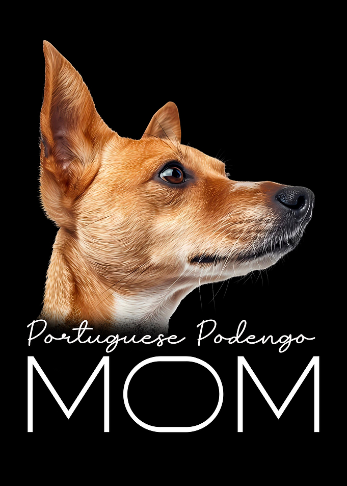 Portuguese Podengo Mom