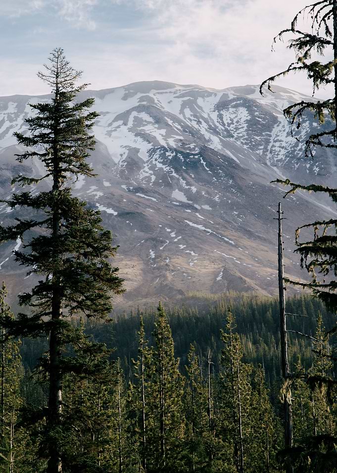 Saint Helens