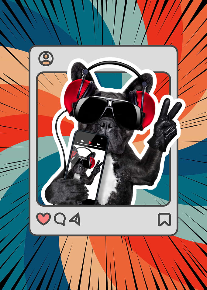 Funky Headphone Dog