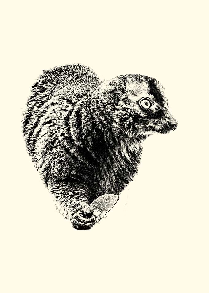 Lemur