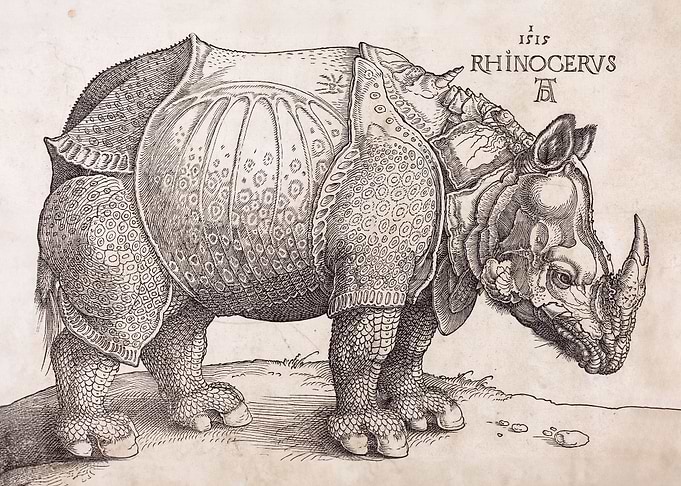 The Rhinoceros