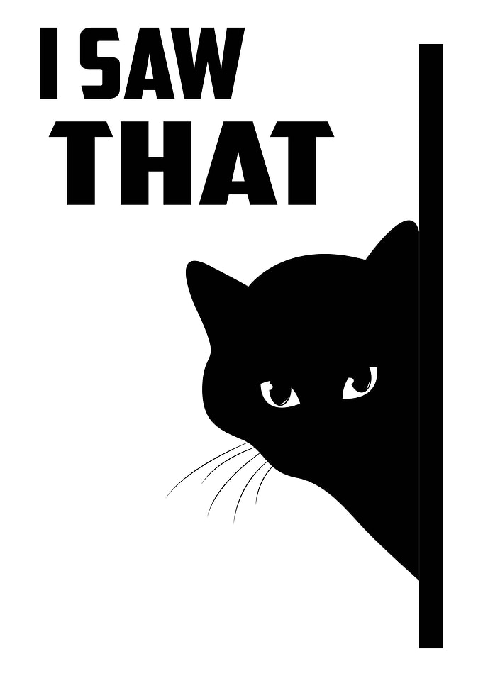 Funny Cat Saw That