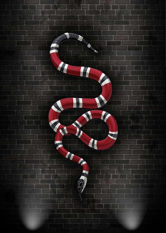 Snake