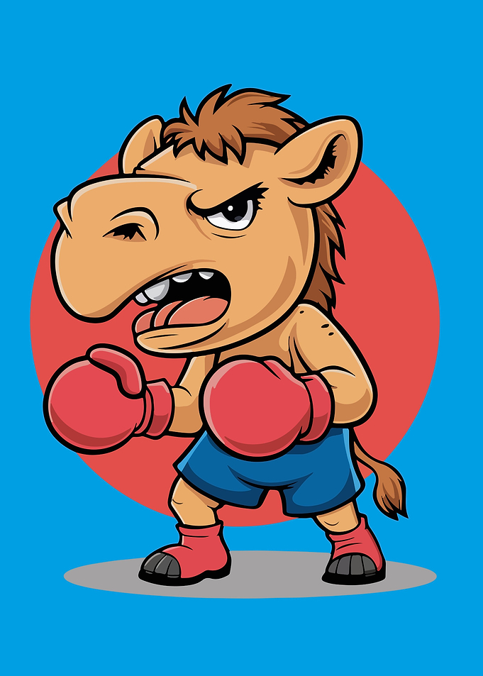Angry Camel Boxing