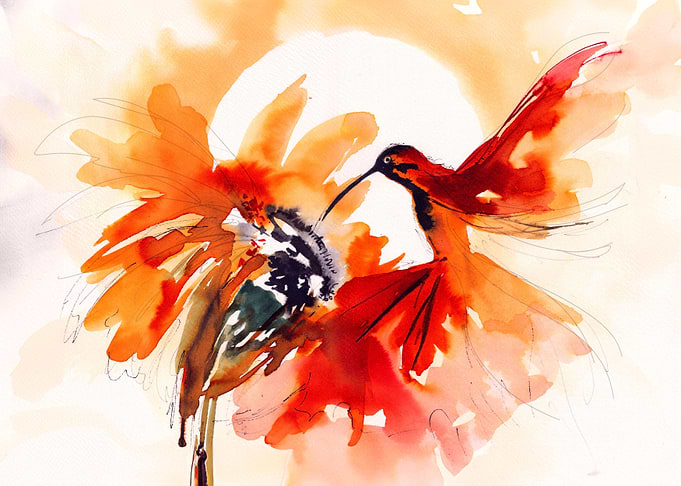 The Red Hummingbird