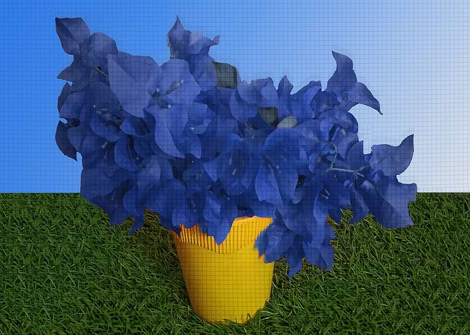 Bougainvillea Flower Vase2