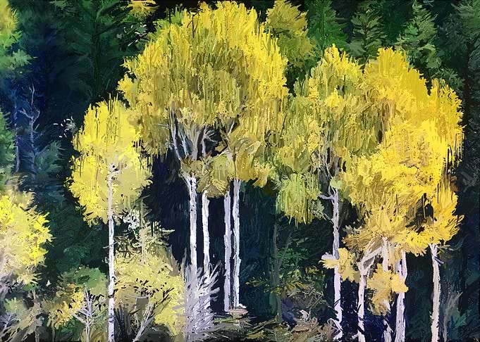 Paysage foret 0028