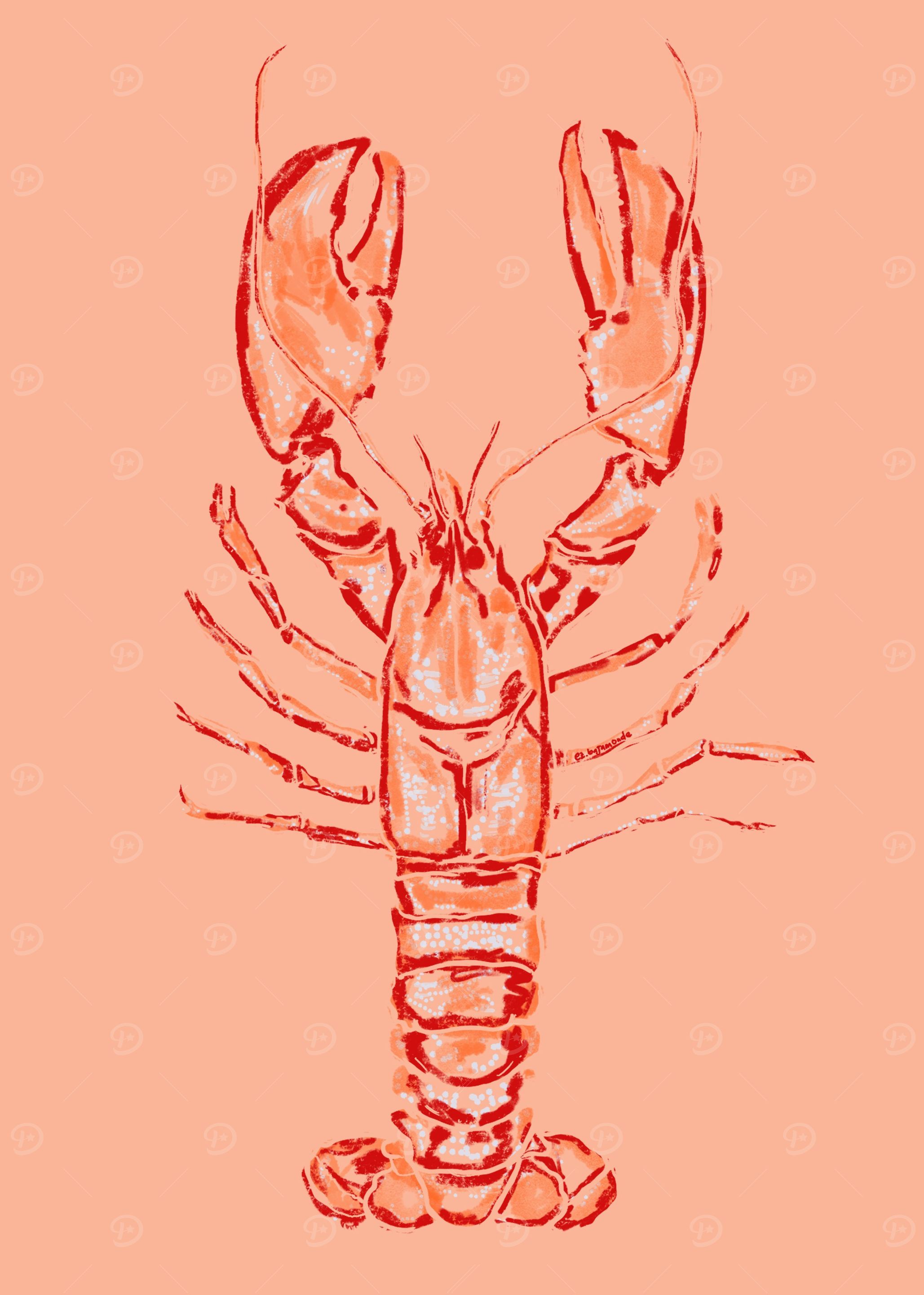Peach Lobster Art