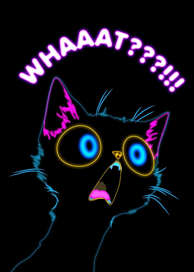 shocking cat