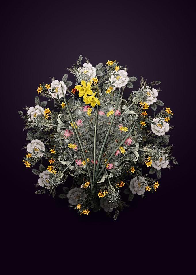 Narcissus Odorus Wreath