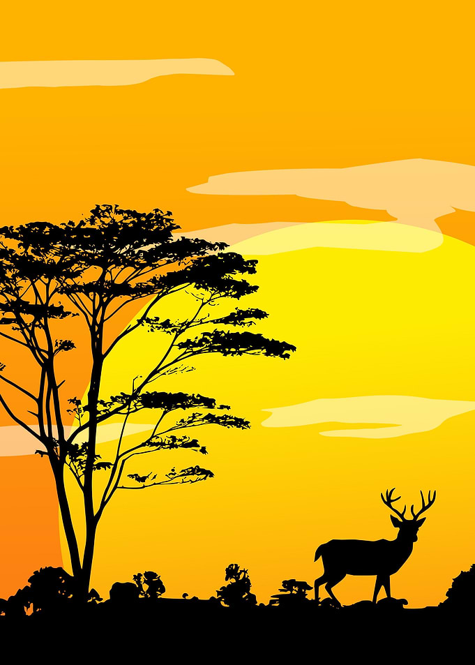 Deer in africa