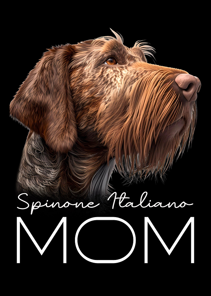 Spinone Italiano Mom