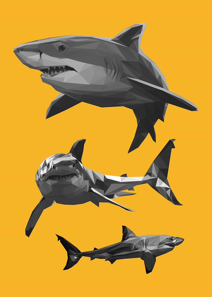 shark nursery kids