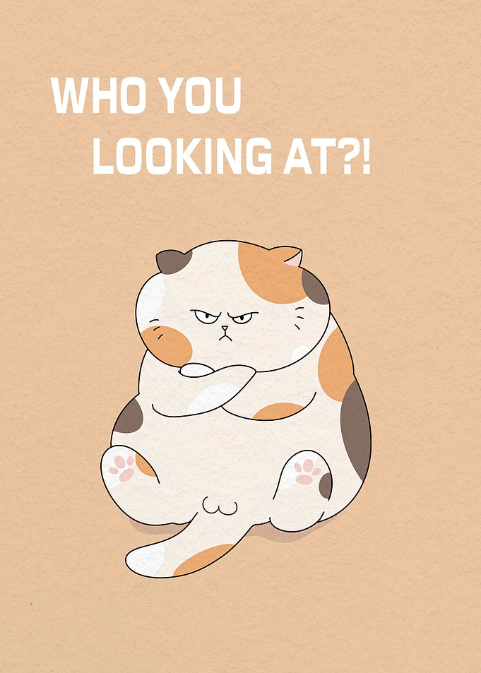 Cat Who You Looking At
