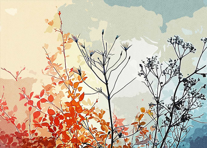 Wild Nature