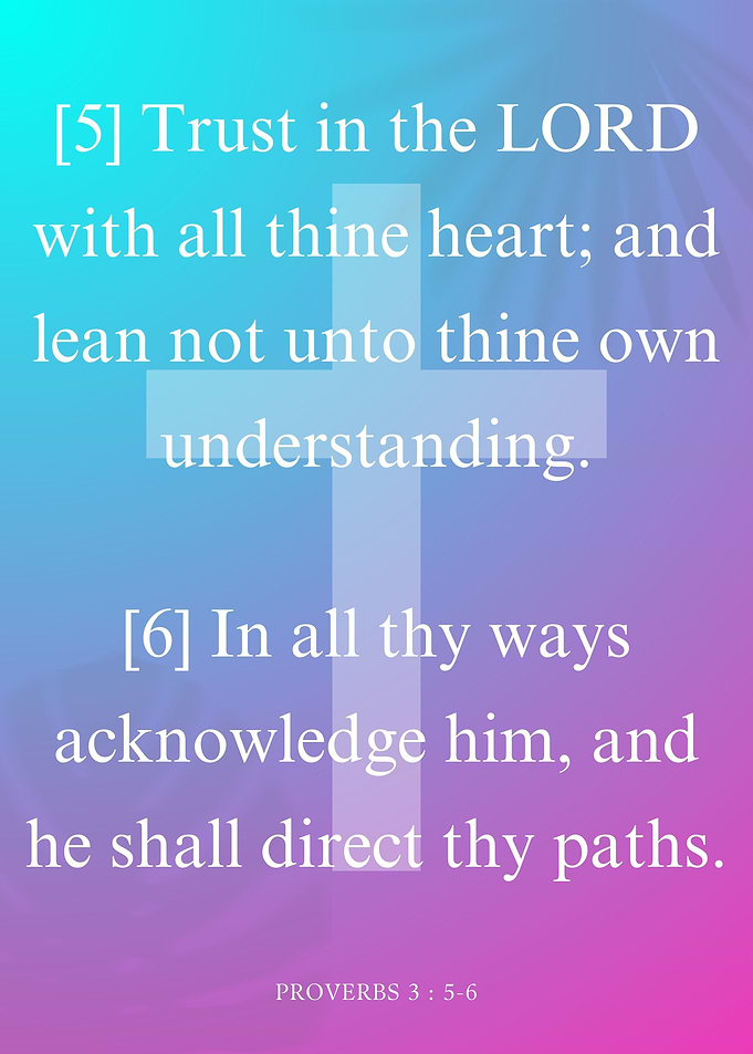 Proverbs 3 vs 5 and 6