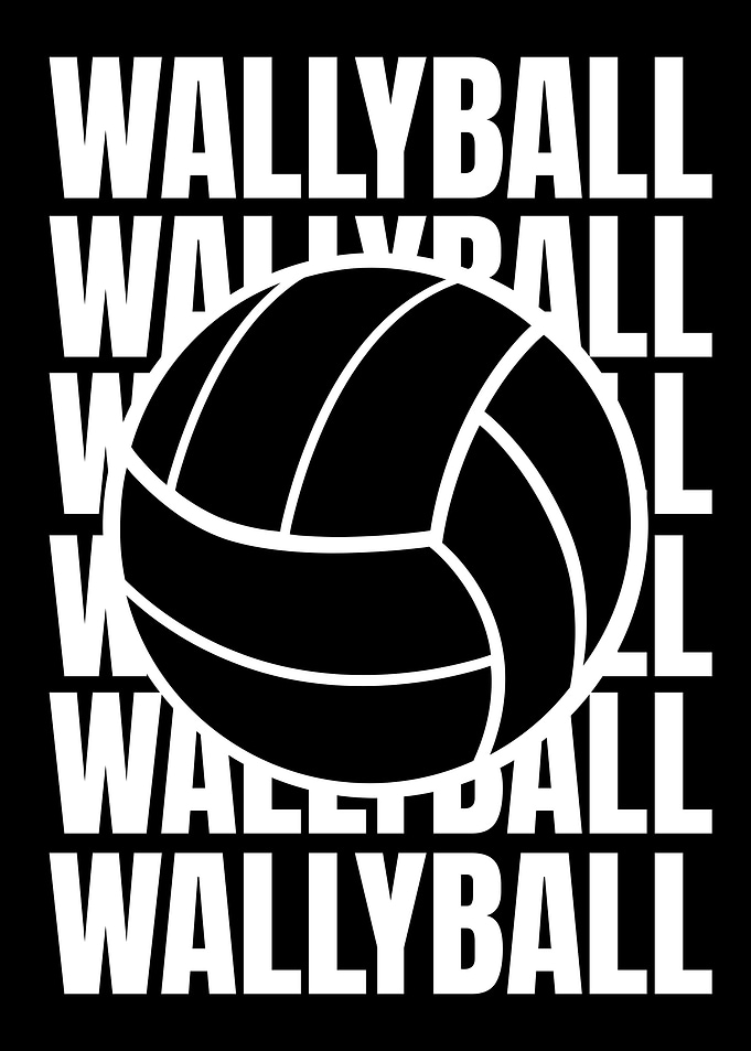 WALLYBALL BLACK