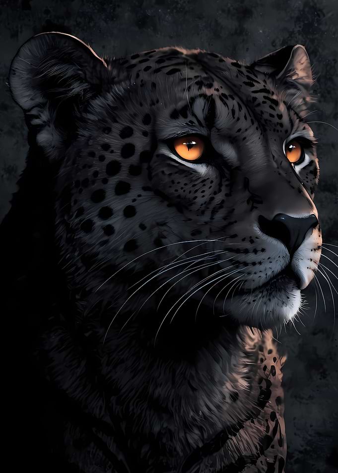 Cheetahs Grace