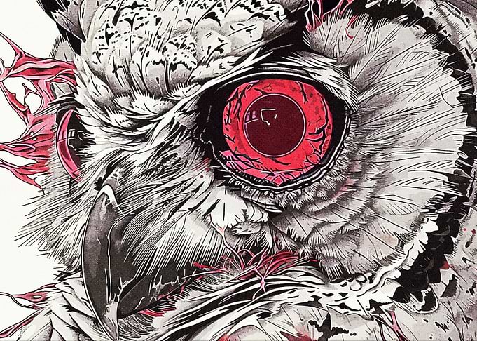 Red Eye Owl