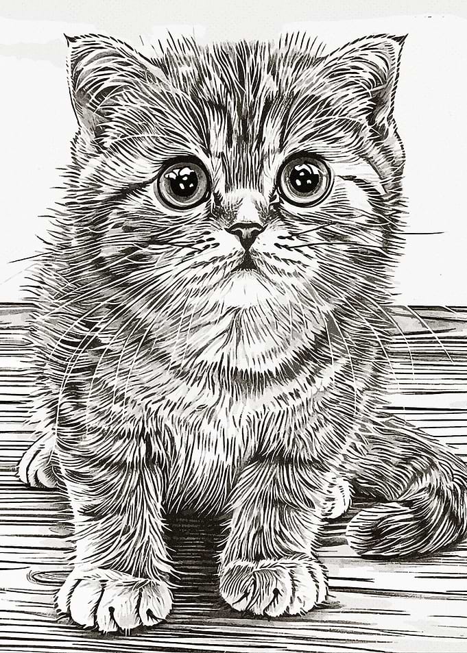 Drawing Cat