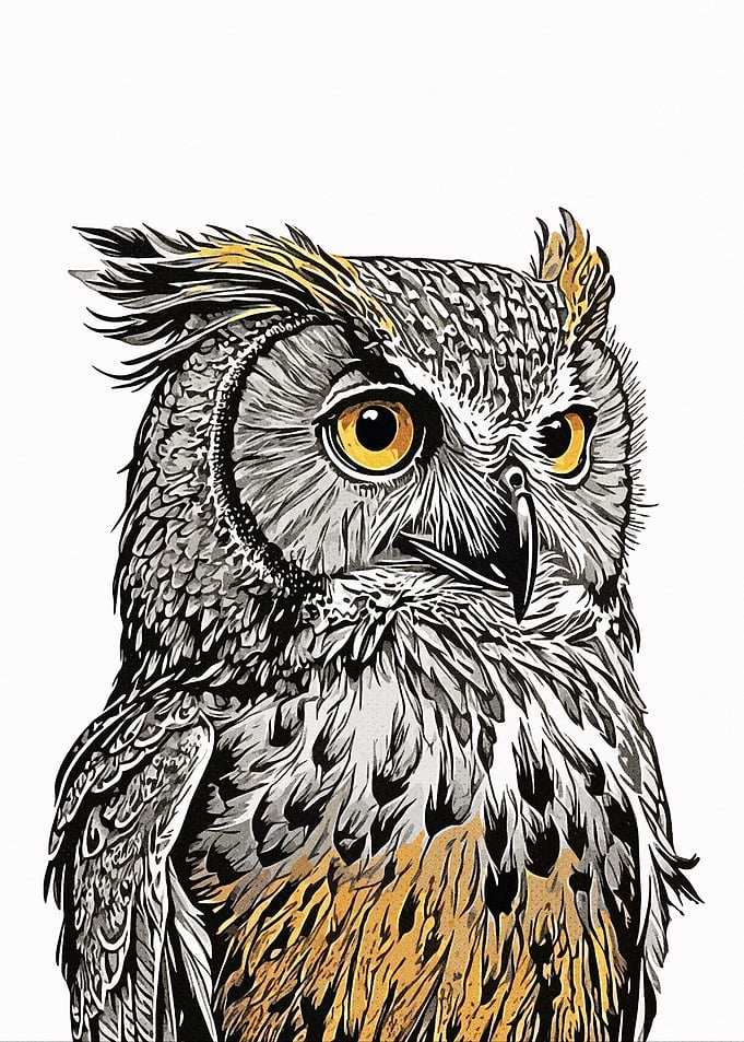Owl Drawing Vintage