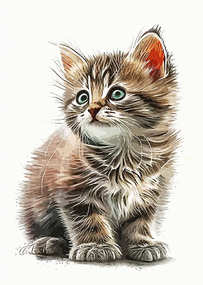 Cute Cat Vintage