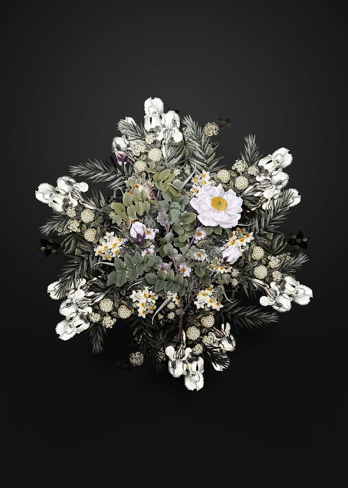White Burnet Roses Wreath