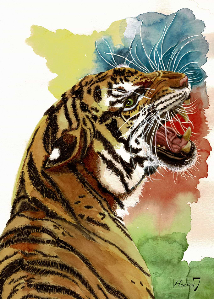 TYGER
