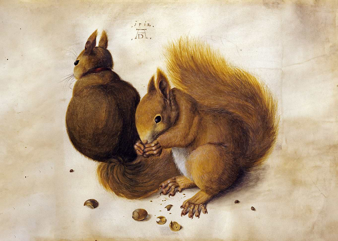 Two squirrels