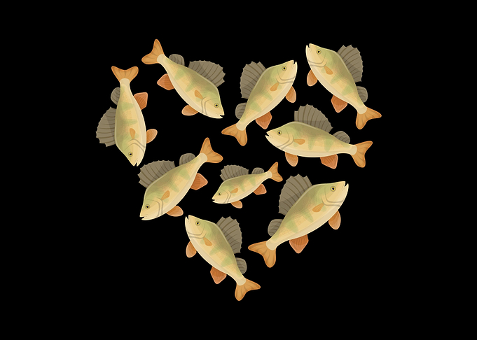 perch