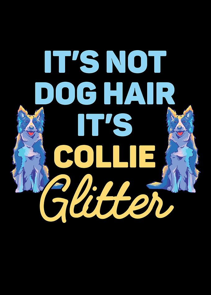 Border Collie Enthusiast