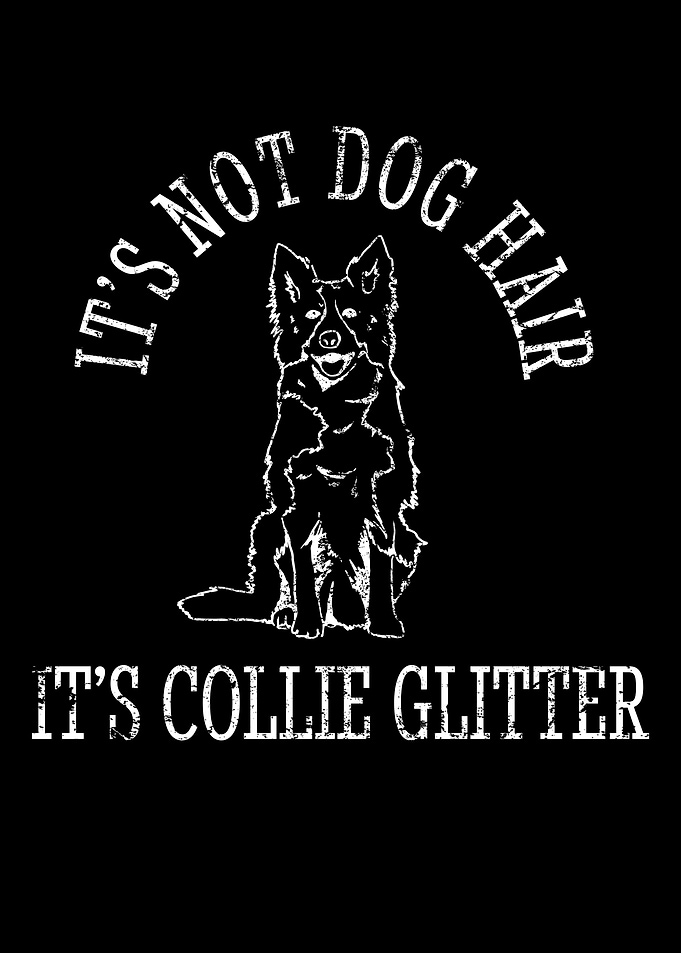 Unique Border Collie