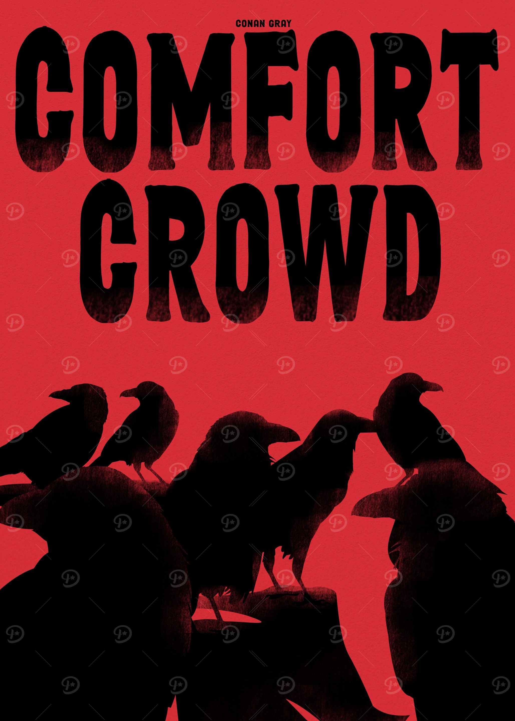Solace in the Comfort Crow
