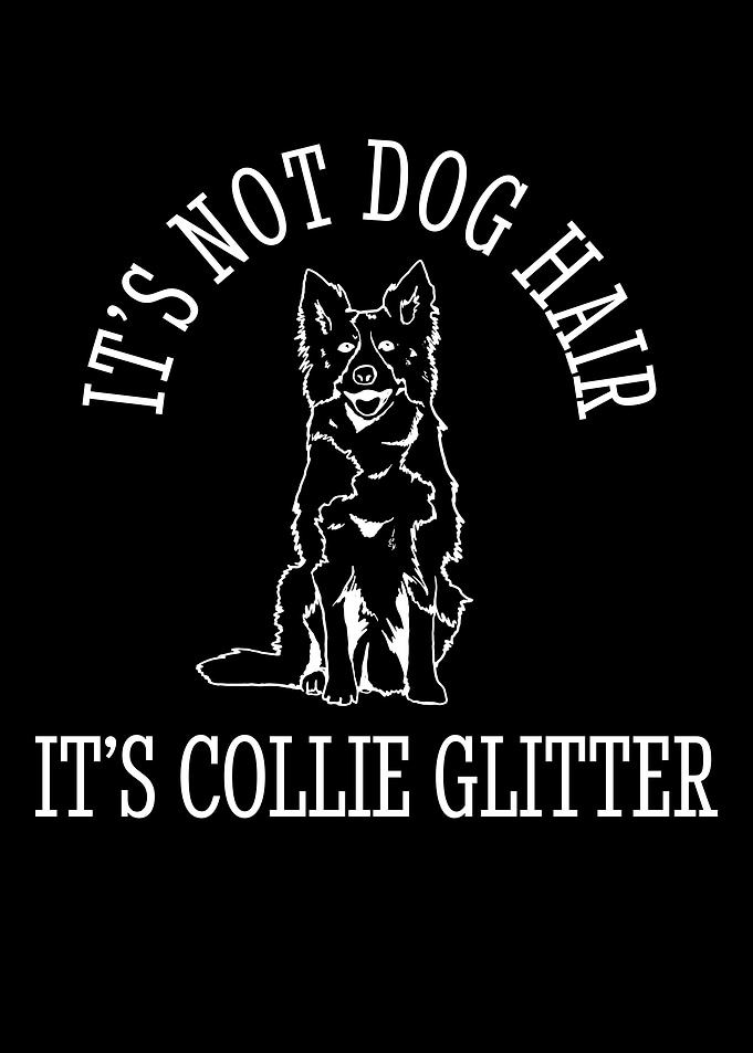 Unique Border Collie