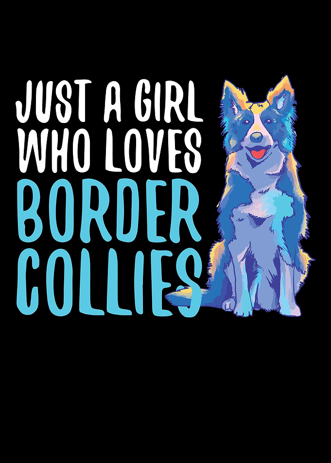 Unique Border Collie