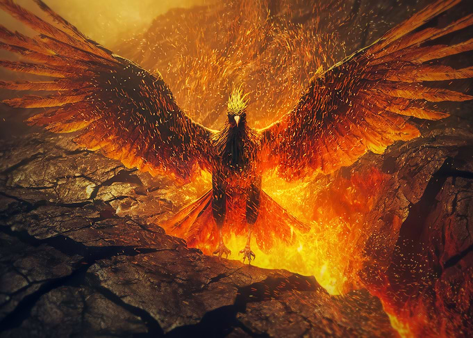 Dark phoenix rising