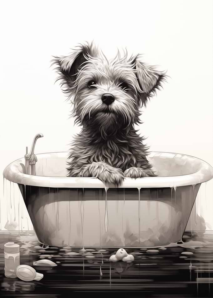 Dog Bathtub