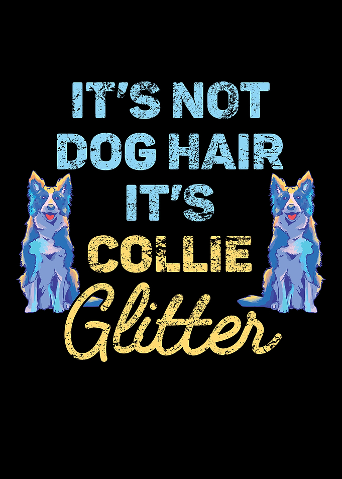 Unique Border Collie
