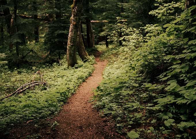 Green Hiking Trail