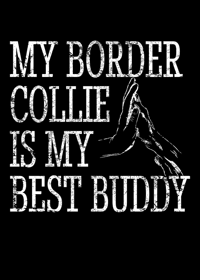 Border Collie Dad Mom