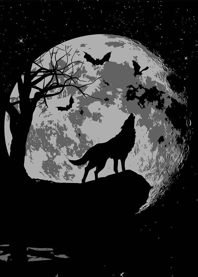 wolf