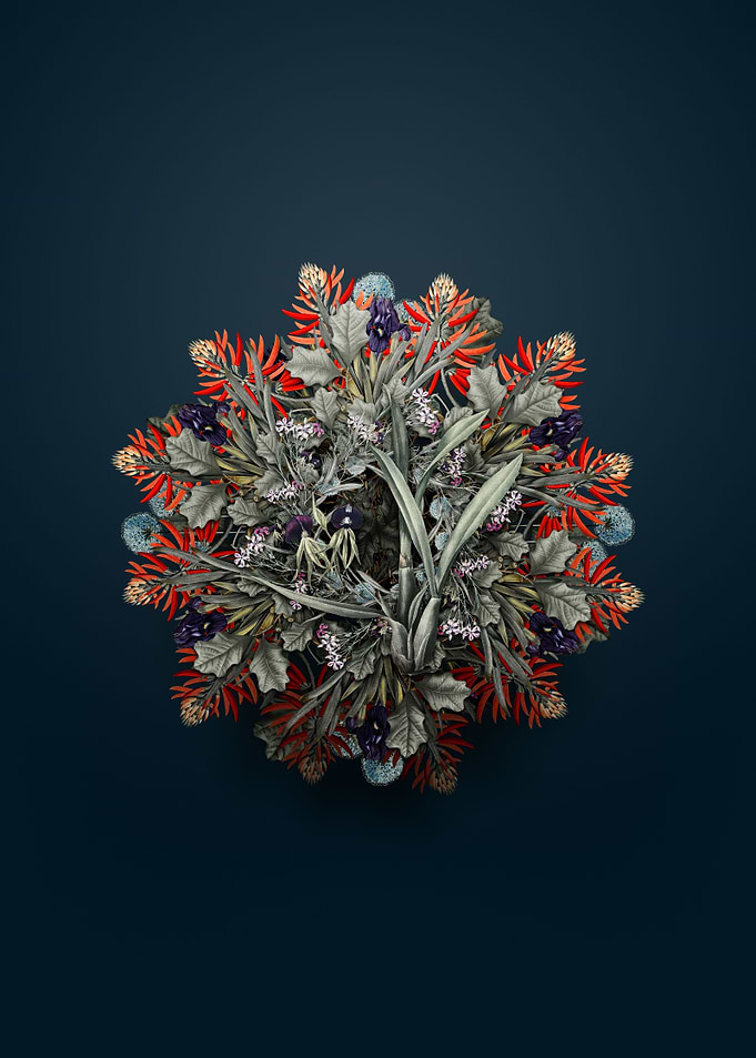 Clamshell Orchid Wreath