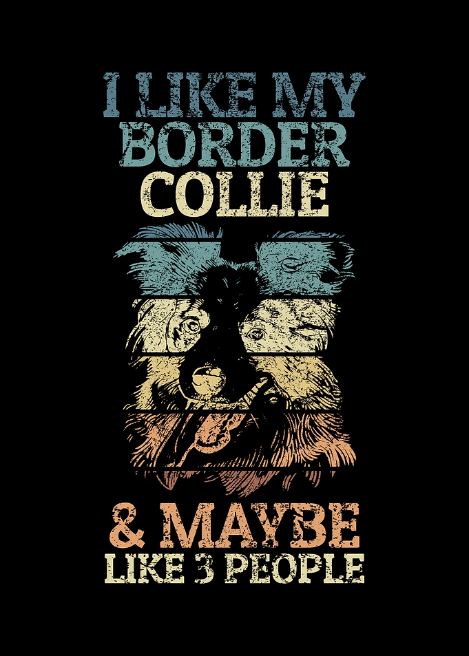 Border Collie Enthusiast