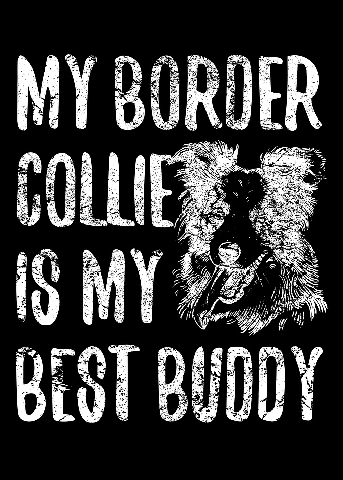 Border Collie Enthusiast