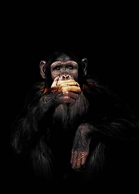 Monkey Speak No Evil