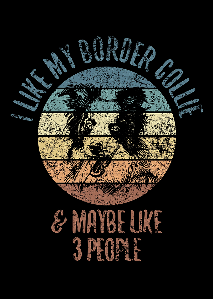 Unique Border Collie