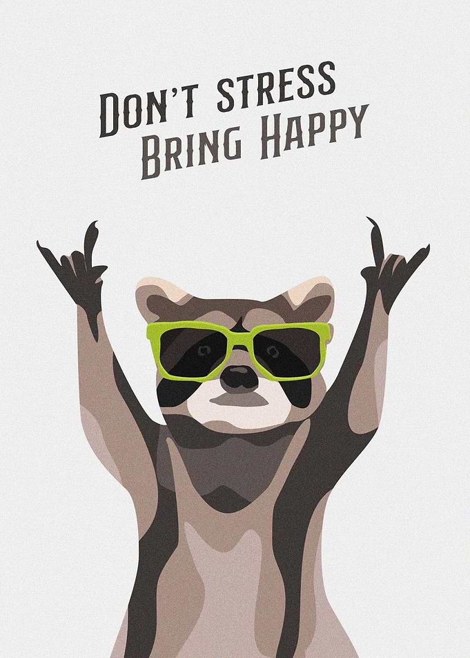 raccoon dog fun